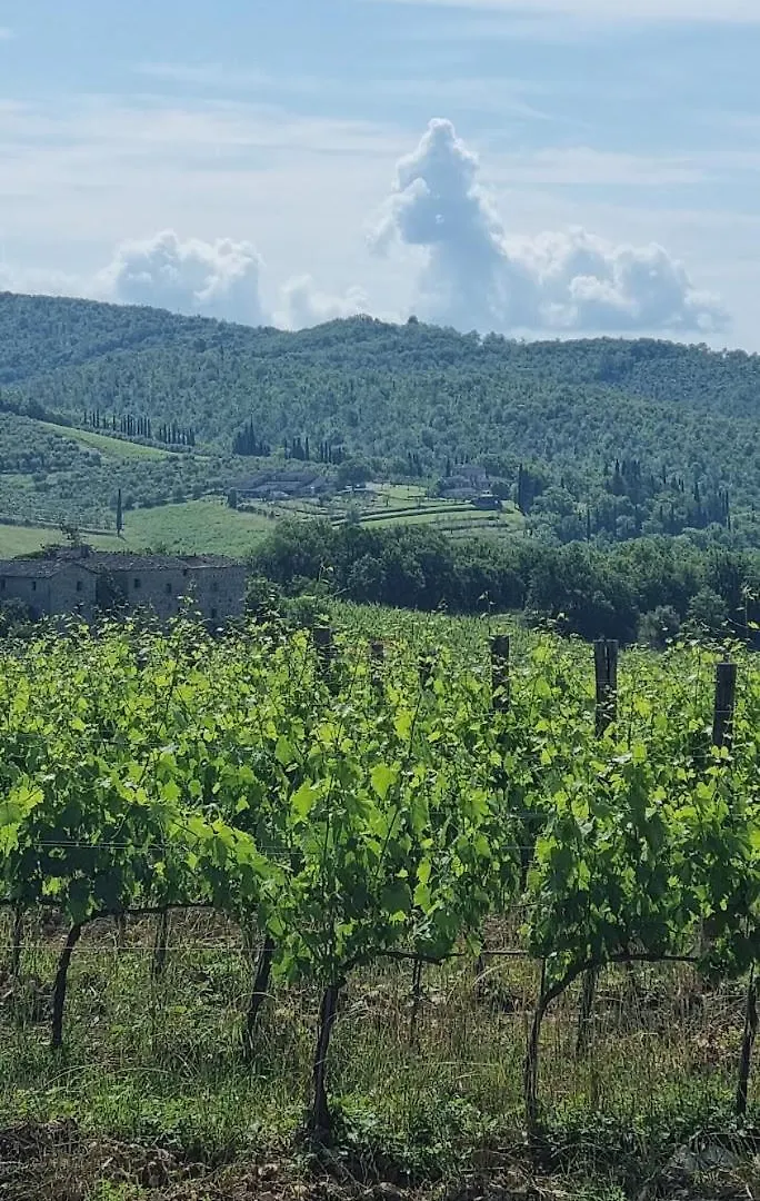 Holiday home Oasi Nel Cuore Del Chianti Villa San Sano